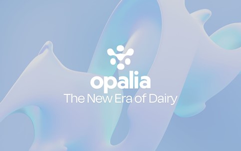 Opalia+Global+Investor+Deck Appendix